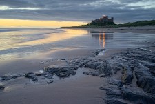 Straight raw file conversion (resized and sharpened)